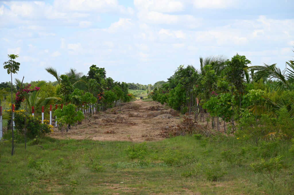 magnitudesquarerealty